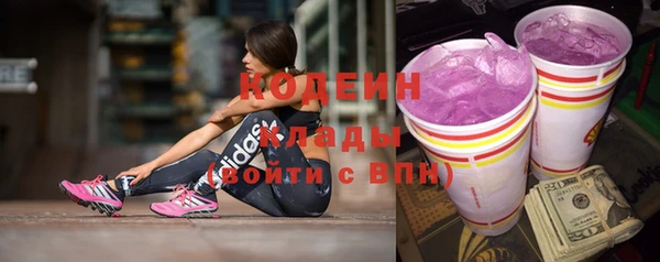 индика Надым
