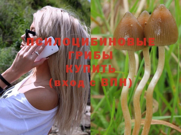 винт Наволоки