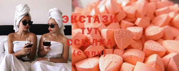 индика Надым