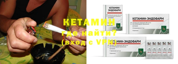 индика Надым
