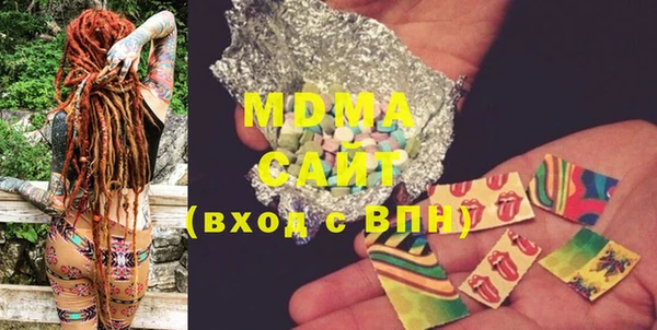 индика Надым