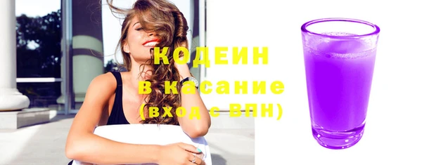 индика Надым