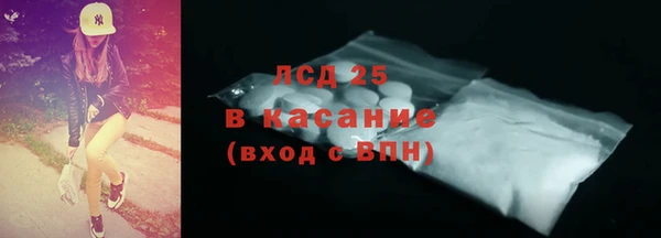 индика Надым