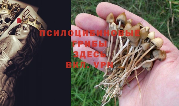 индика Надым