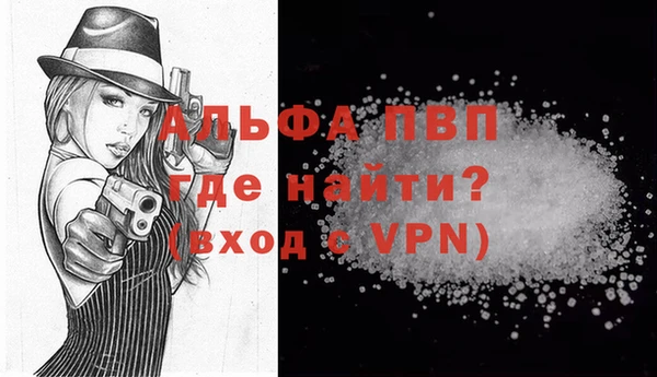 индика Надым