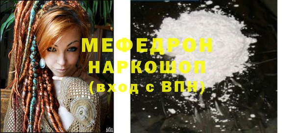 индика Надым