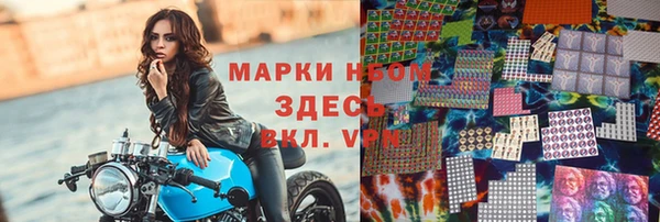 индика Надым