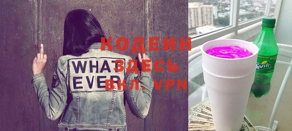 индика Надым
