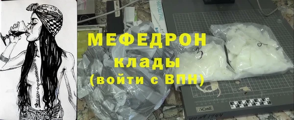 индика Надым