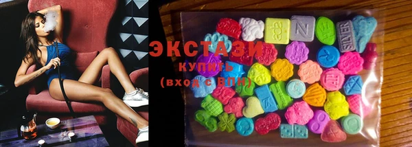 индика Надым