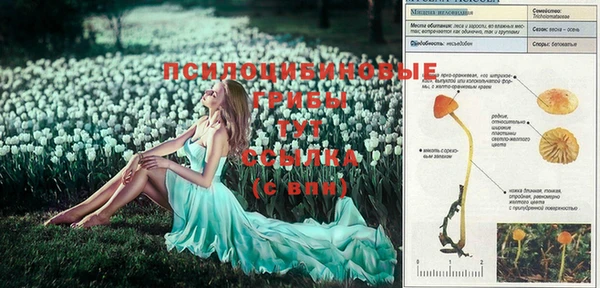 винт Наволоки