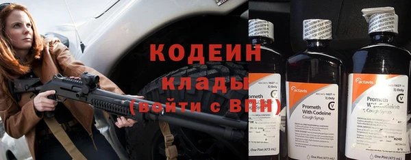 индика Надым